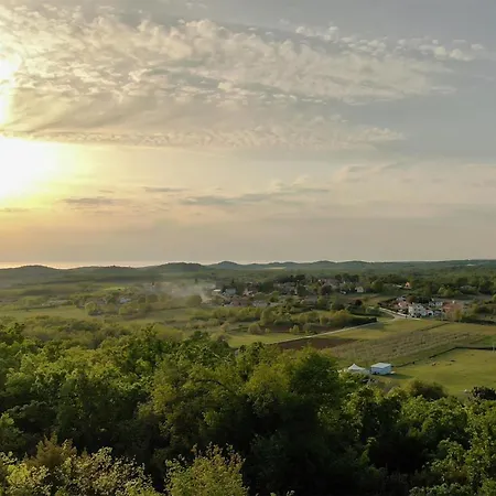 Pet Friendly In Prázdninový dům Poreč