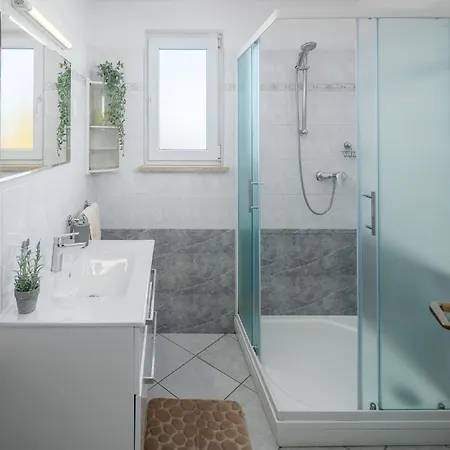 Pet Friendly In Porec